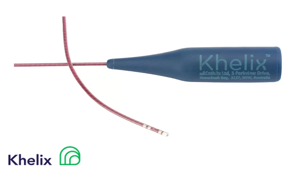 fixed ep catheter