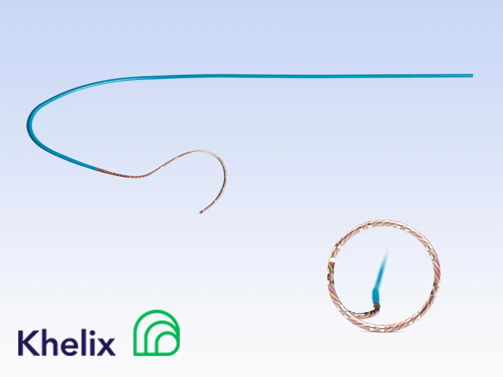 loop-ep-catheter