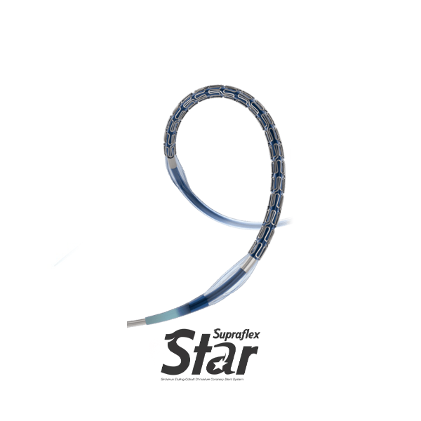 drug-eluting-stent22